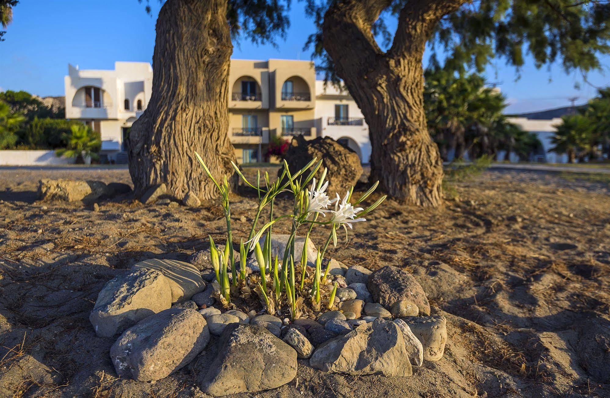 Aparthotel Olympia Mare à Kardamena  Extérieur photo